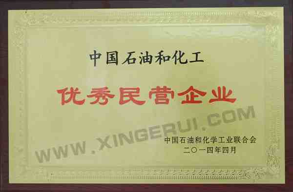 中國石油和化工優秀民營企業