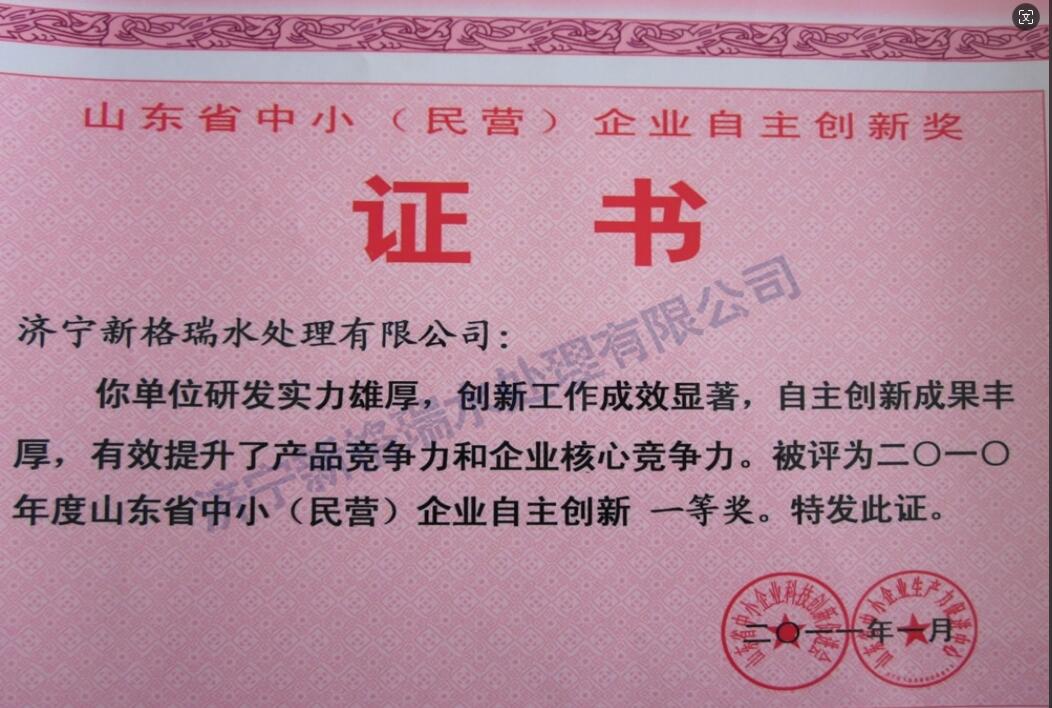 山東省中小（民營）企業自主創新一等獎